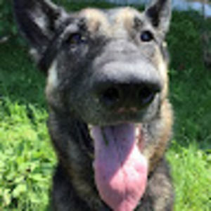 Meet your Posher, Eraina